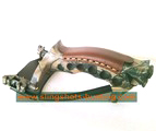 Camouflage Slingshot for Hunting 2/4 Bands accuracy Powerful